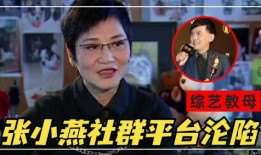 陈泽和斩虎互相爆料视频,真相与争议交织的娱乐圈风云
